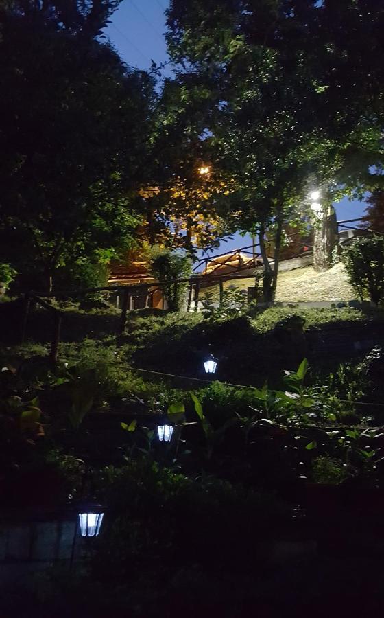 Filoxenia Hotel Tsagkarada Buitenkant foto