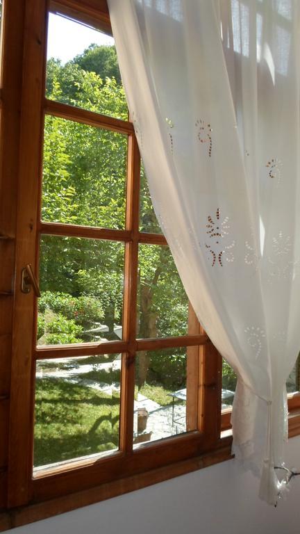 Filoxenia Hotel Tsagkarada Buitenkant foto